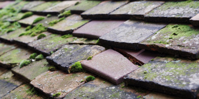 Twyn Y Sheriff roof repair costs
